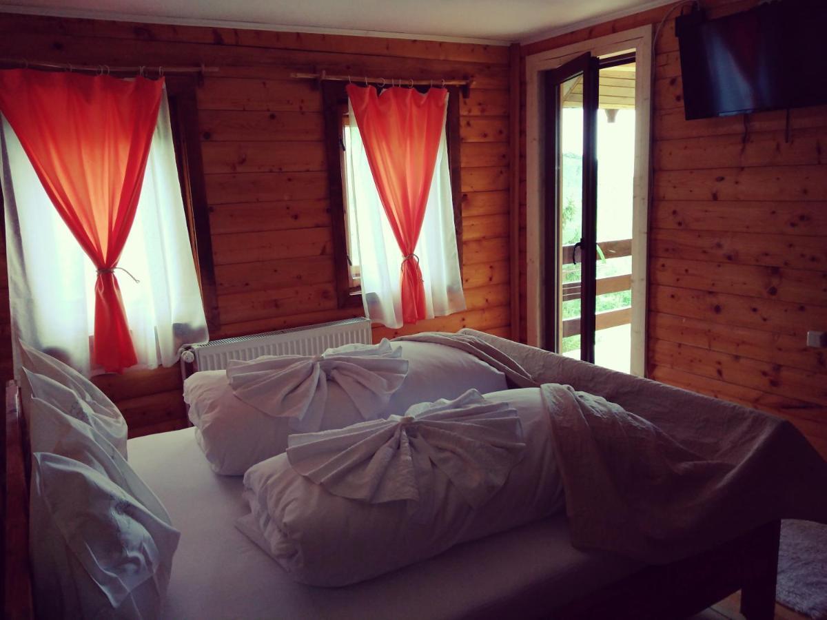 Lodge Soarelui Retezat Nucsoara (Hunedoara)