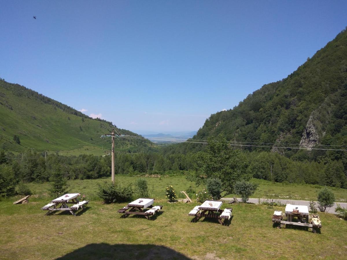 Lodge Soarelui Retezat Nucsoara (Hunedoara)