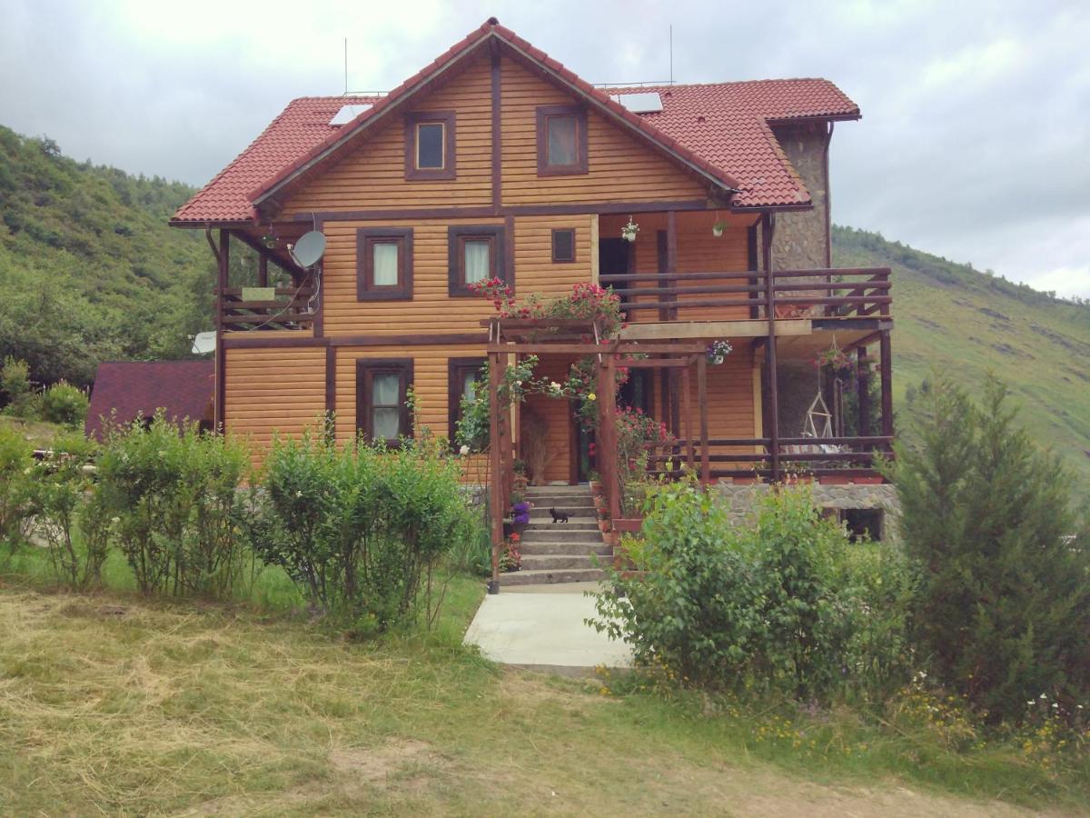 Soarelui Retezat Lodge *
