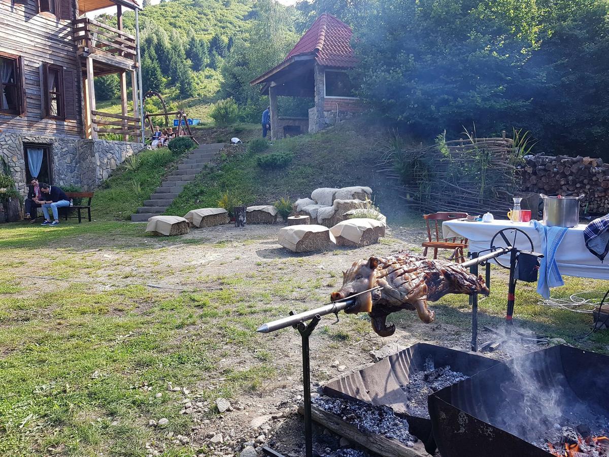 Soarelui Retezat * Nucsoara (Hunedoara)